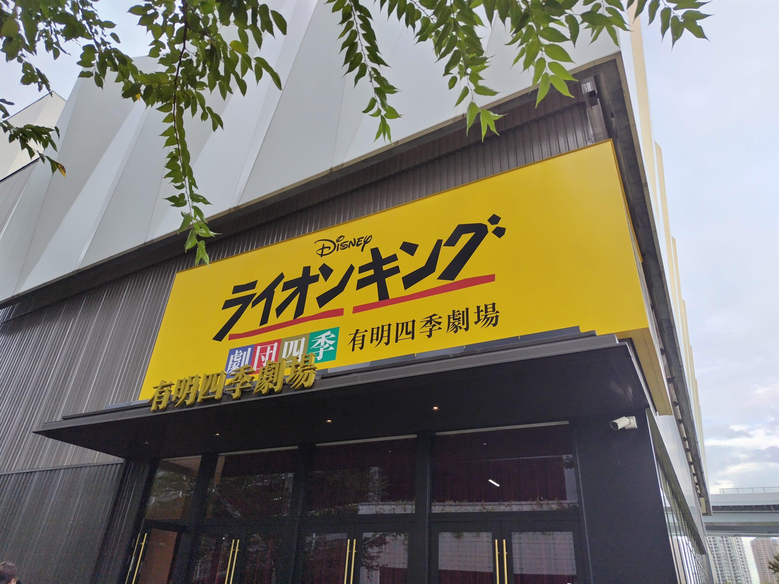 劇団四季 ライオン・キング 大阪公演 3月11日昼【１階Ｓ列24番】